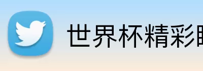世界杯精彩瞬间 logo